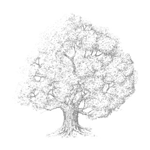 No preview available