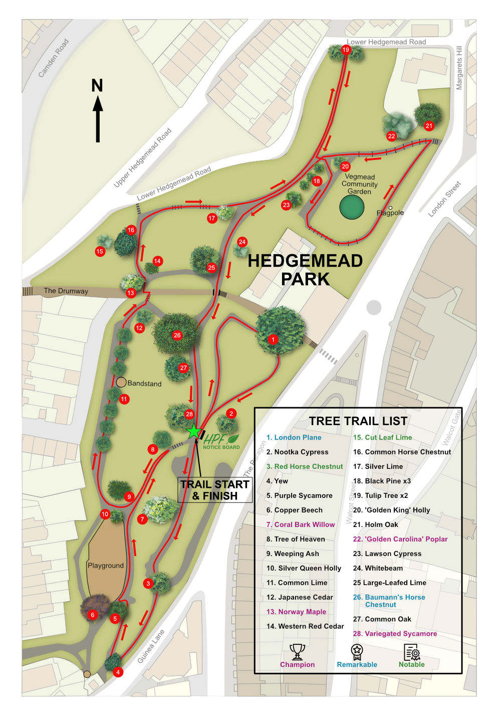 A map showing the route and trees on the Friends of Hedgemead Park tree trail